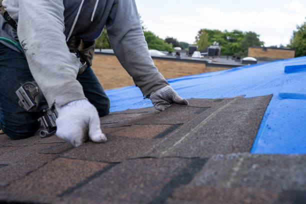 Best Emergency Roof Repair  in Goddard, KS