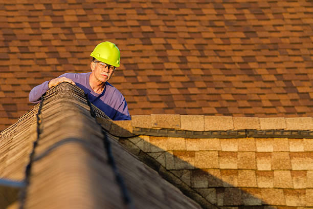 Best Roof Repair Services  in Goddard, KS